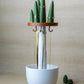 Cactus Charm Jewellery Tree | Expandable Necklace & Ring Organizer