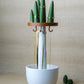 Cactus Charm Jewellery Tree | Expandable Necklace & Ring Organizer
