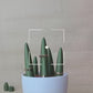 Cactus Charm Jewellery Tree | Expandable Necklace & Ring Organizer